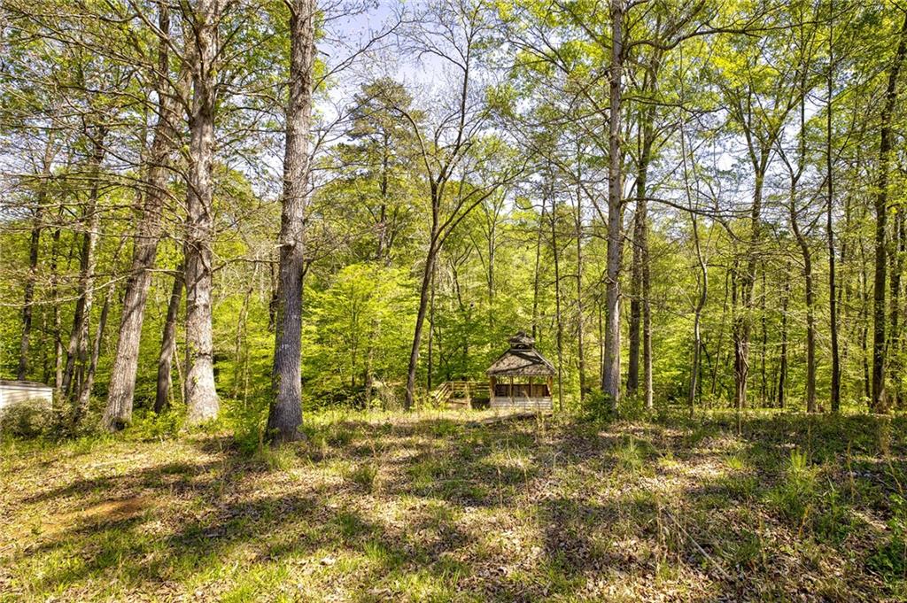 4201 Dunagan Road Gainesville, GA 30507 - Photo 12 of 37 a view of yard