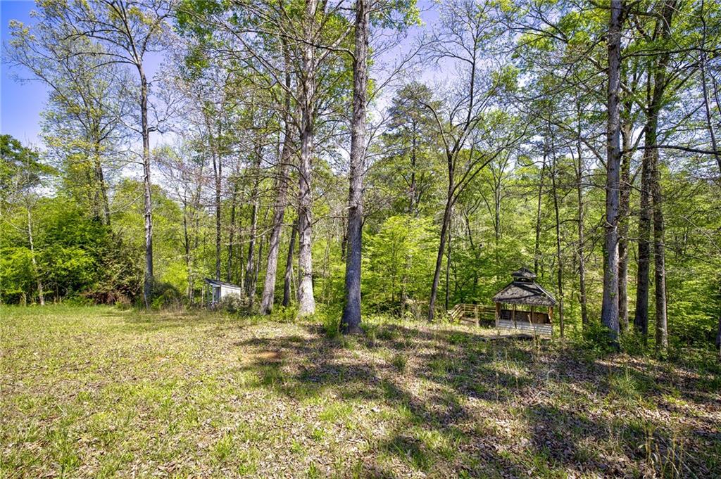 4201 Dunagan Road Gainesville, GA 30507 - Photo 13 of 37 a backyard of a house with lots of trees