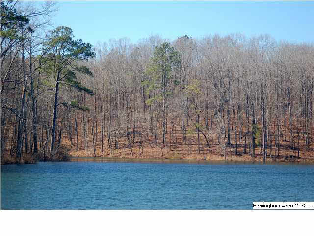 5 Highway Ac Al, Unit 96 23 Woodstock, AL 35188 - Photo 5 of 20