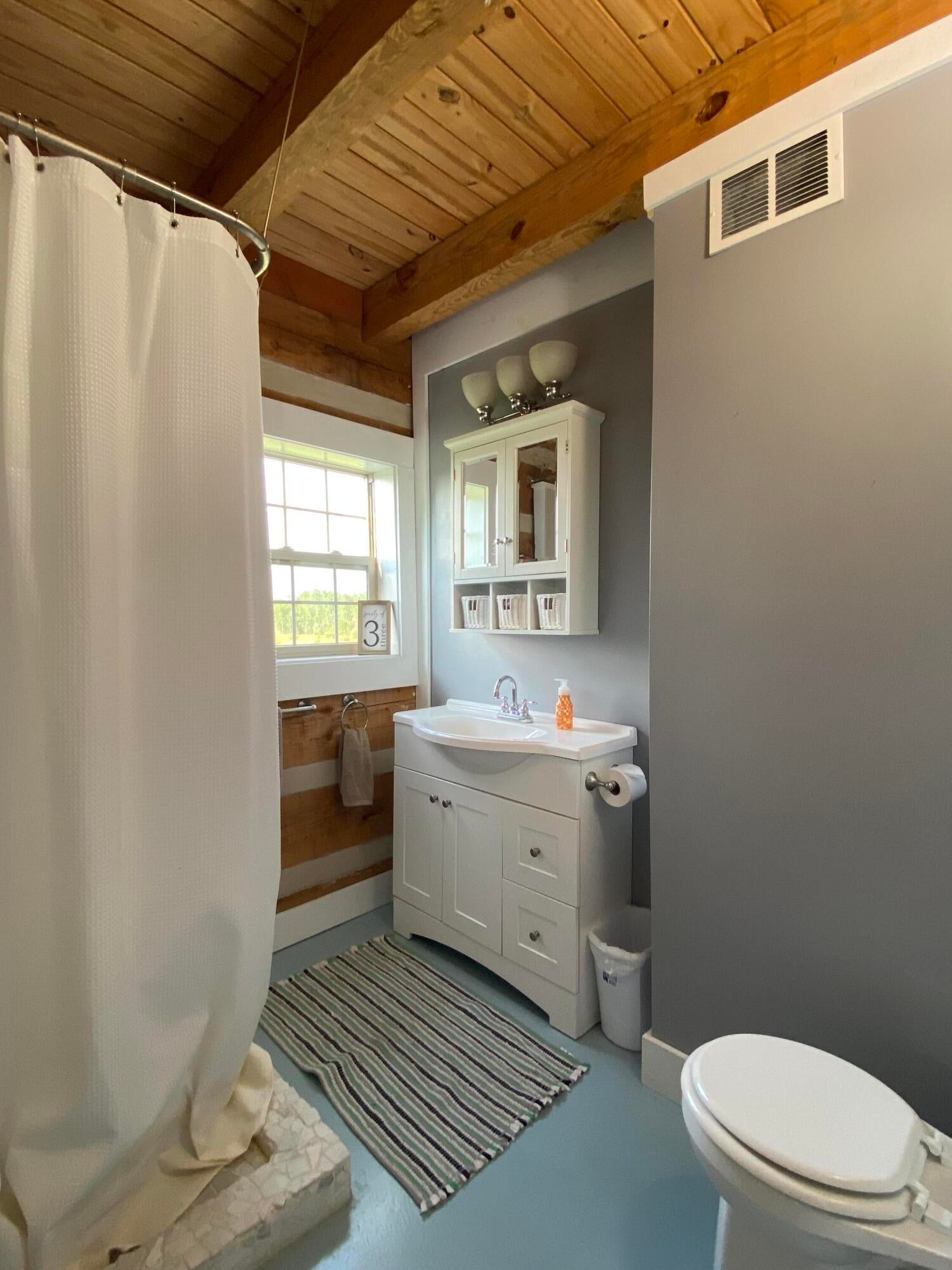 6569 South Maple Road Brimley, MI 49715 - Photo 13 of 25 Gallery Image 13