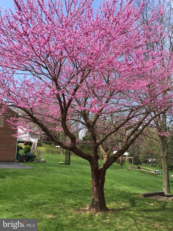 985 Cardinal Road Lancaster, PA 17601 - Photo 27 of 29 Gallery Image 27