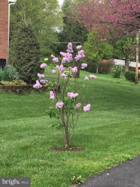 985 Cardinal Road Lancaster, PA 17601 - Photo 28 of 29 Gallery Image 28