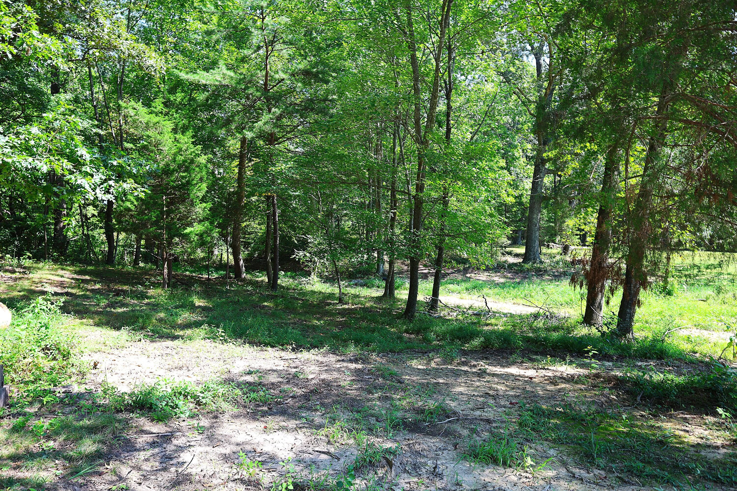 4225 New Irvine Road Waco, KY 40385 - Photo 63 of 67 Wooded Areas