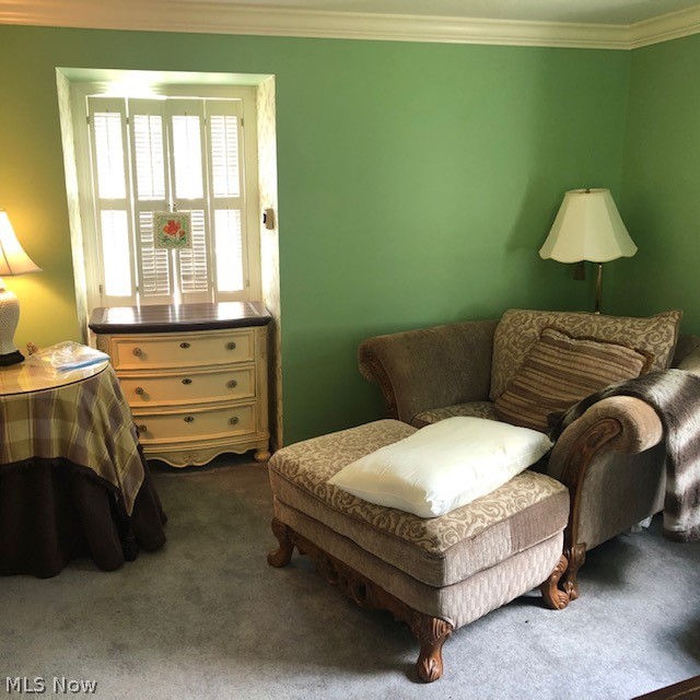 156 Sand Run Road Akron, OH 44313 - Photo 22 of 34 bedroom above garage (en-suite)