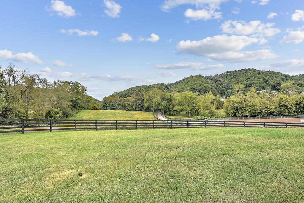 29458 Blue Spring Road Meadowview, VA 24361 - Photo 88 of 104 Gallery Image 88