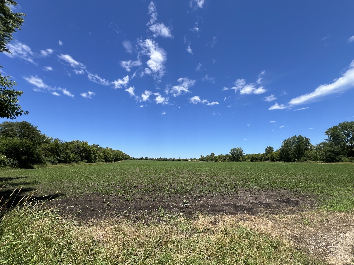 49.64-acres Beck Road Marengo, IL 60152 - Photo 11 of 33 a view of a lake with a yard