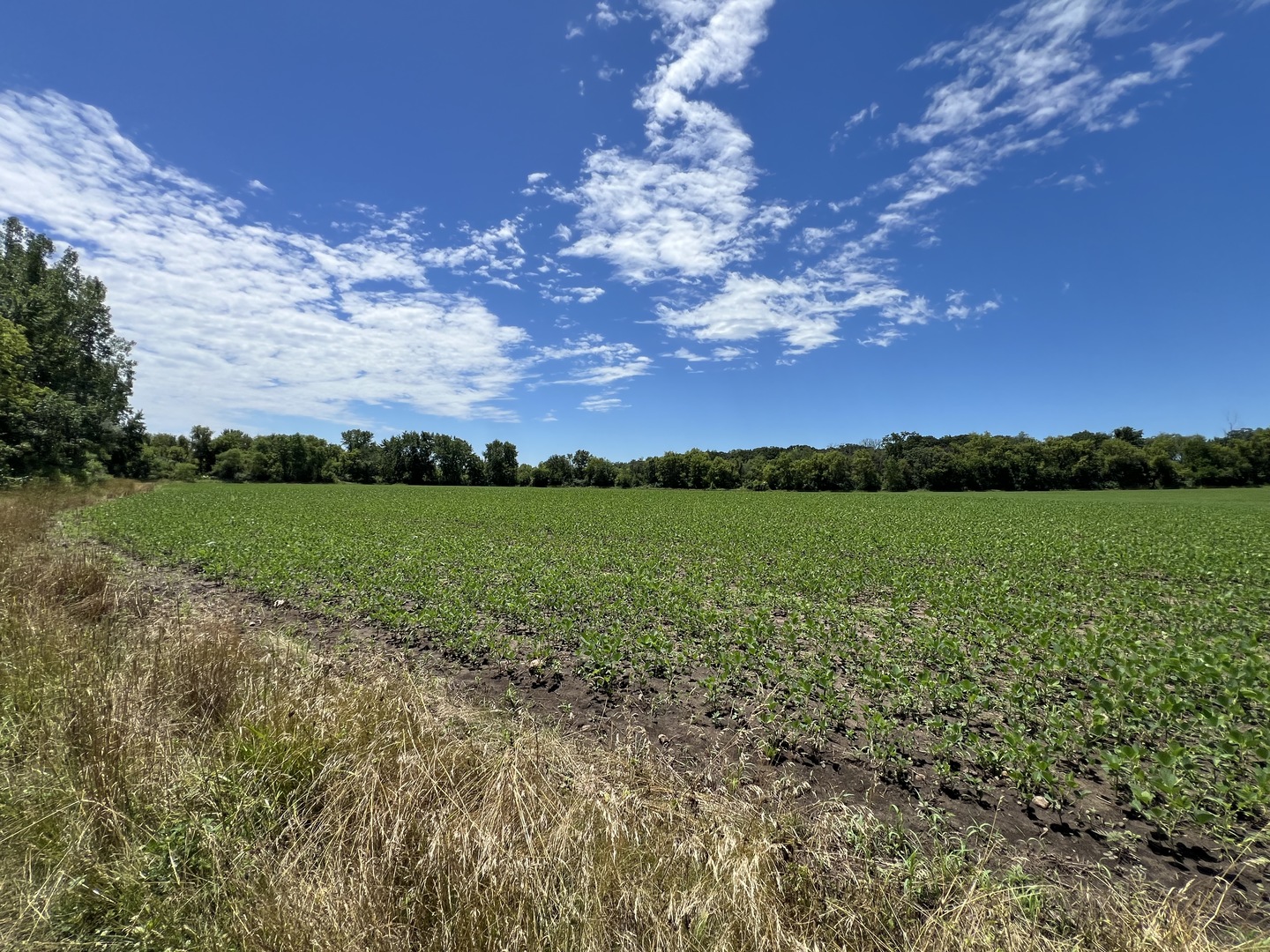 49.64-acres Beck Road Marengo, IL 60152 - Photo 12 of 33 a view of a lake with a big yard