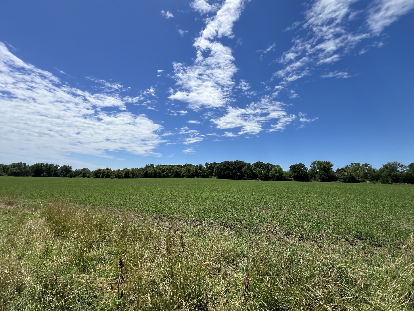 49.64-acres Beck Road Marengo, IL 60152 - Photo 14 of 33 a view of an ocean and a yard