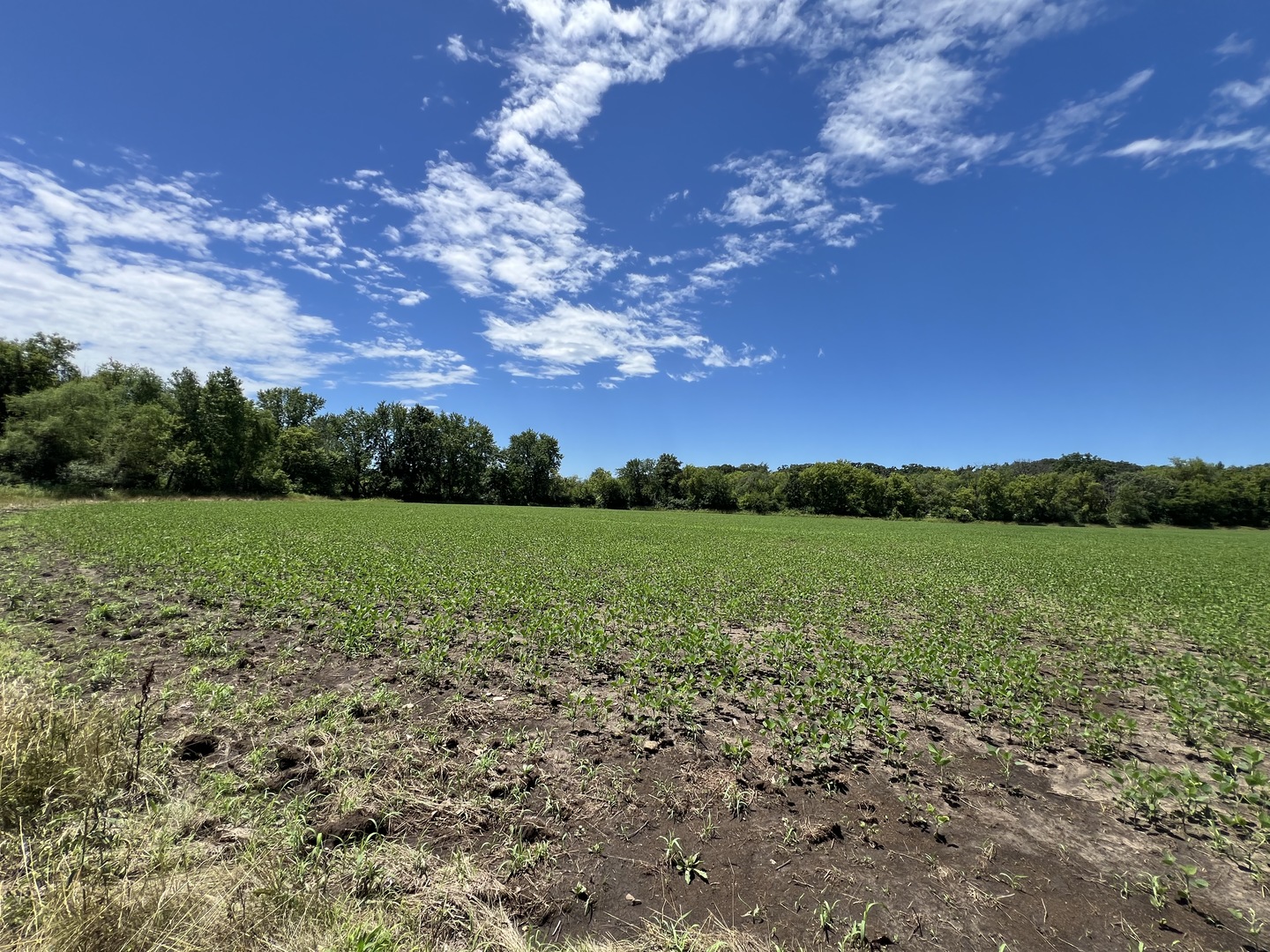 49.64-acres Beck Road Marengo, IL 60152 - Photo 16 of 33 a view of a lake with a yard