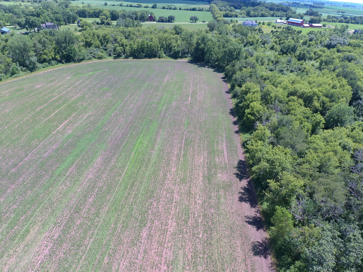 49.64-acres Beck Road Marengo, IL 60152 - Photo 22 of 33 view of outdoor space and yard