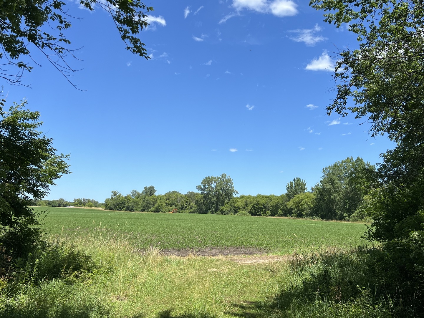 49.64-acres Beck Road Marengo, IL 60152 - Photo 4 of 33 a view of a lush green space