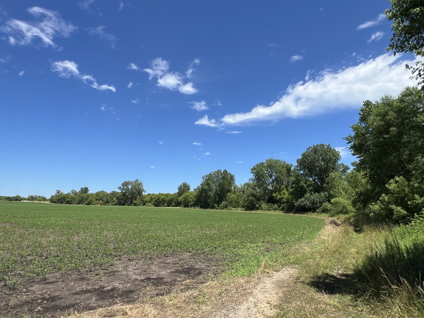 49.64-acres Beck Road Marengo, IL 60152 - Photo 6 of 33 a view of a lake with a yard