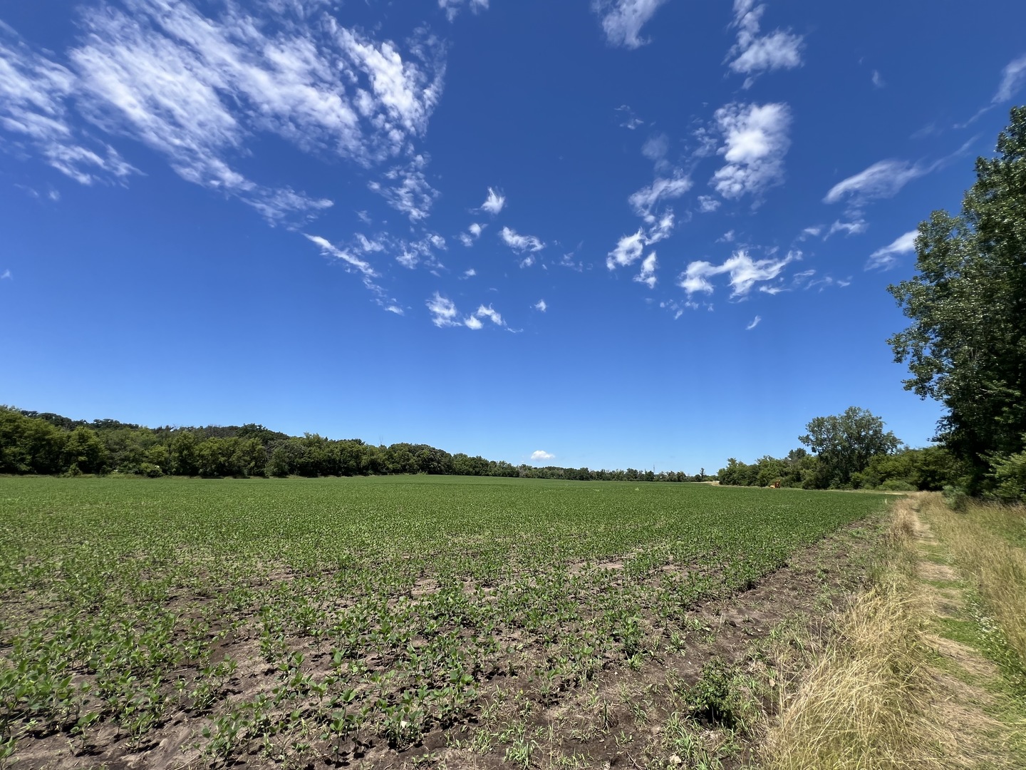 49.64-acres Beck Road Marengo, IL 60152 - Photo 7 of 33 a view of a lake from a yard
