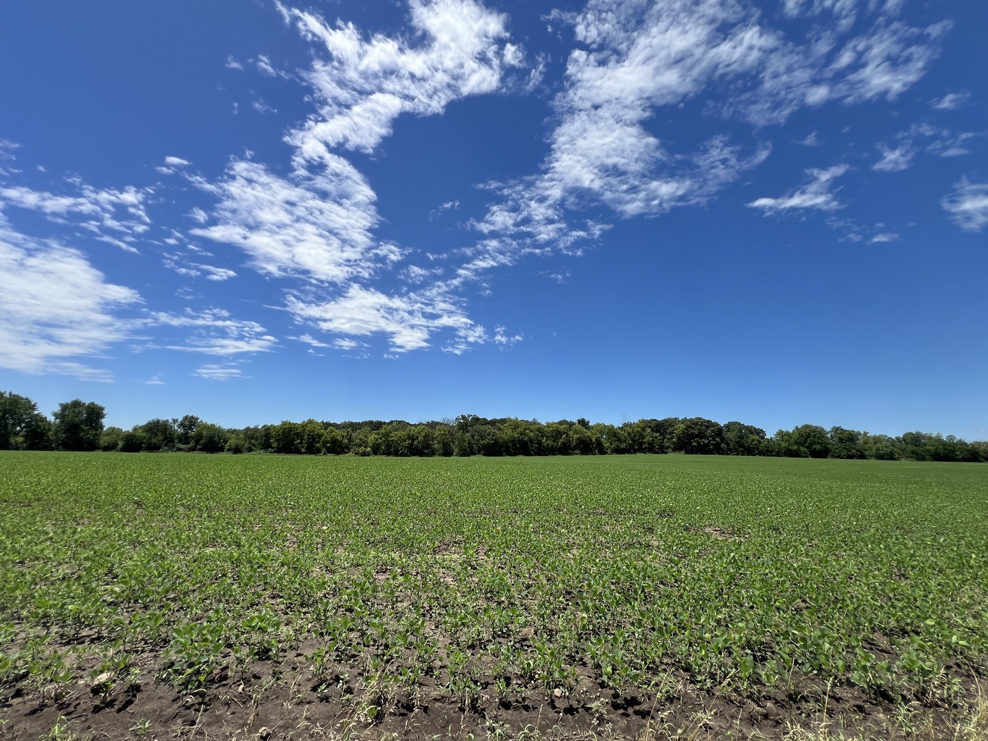 49.64-acres Beck Road Marengo, IL 60152 - Photo 10 of 33 a view of yard with ocean view