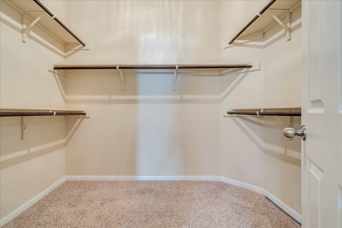 512 Lookout Tree Lane Round Rock, TX 78664 - Photo 16 of 29 Walk in closet featuring light carpet