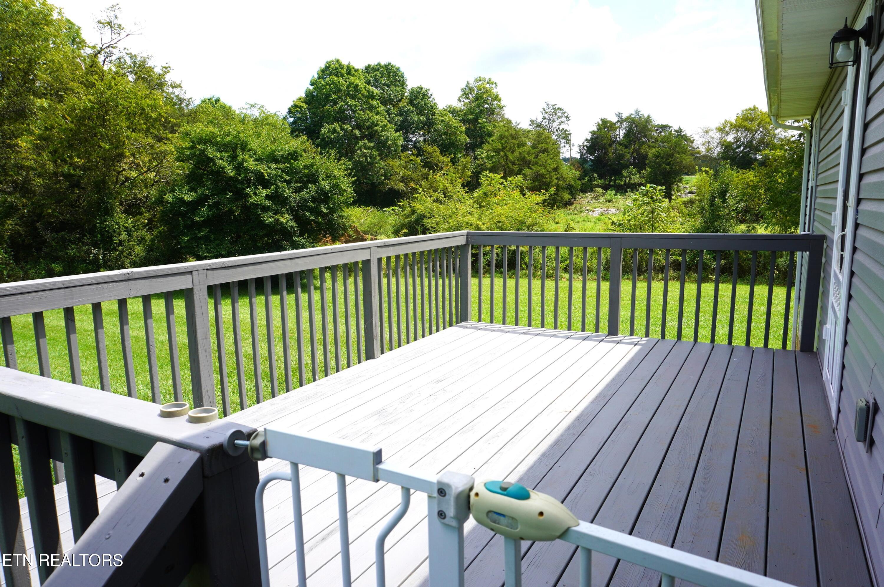 2508 Ryleigh Ridge Drive New Market, TN 37820 - Photo 34 of 54 ryleigh ridge - harvey (28)