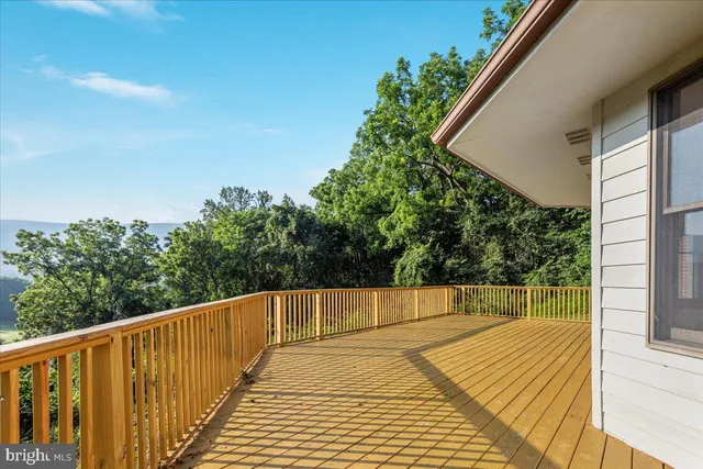a view of a lush green forest with a mountain
