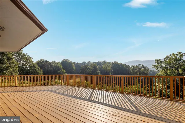a view of a lush green forest with a mountain