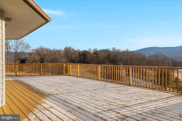 a view of a backyard with trees