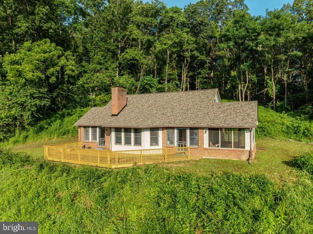 a view of a large tree in a field