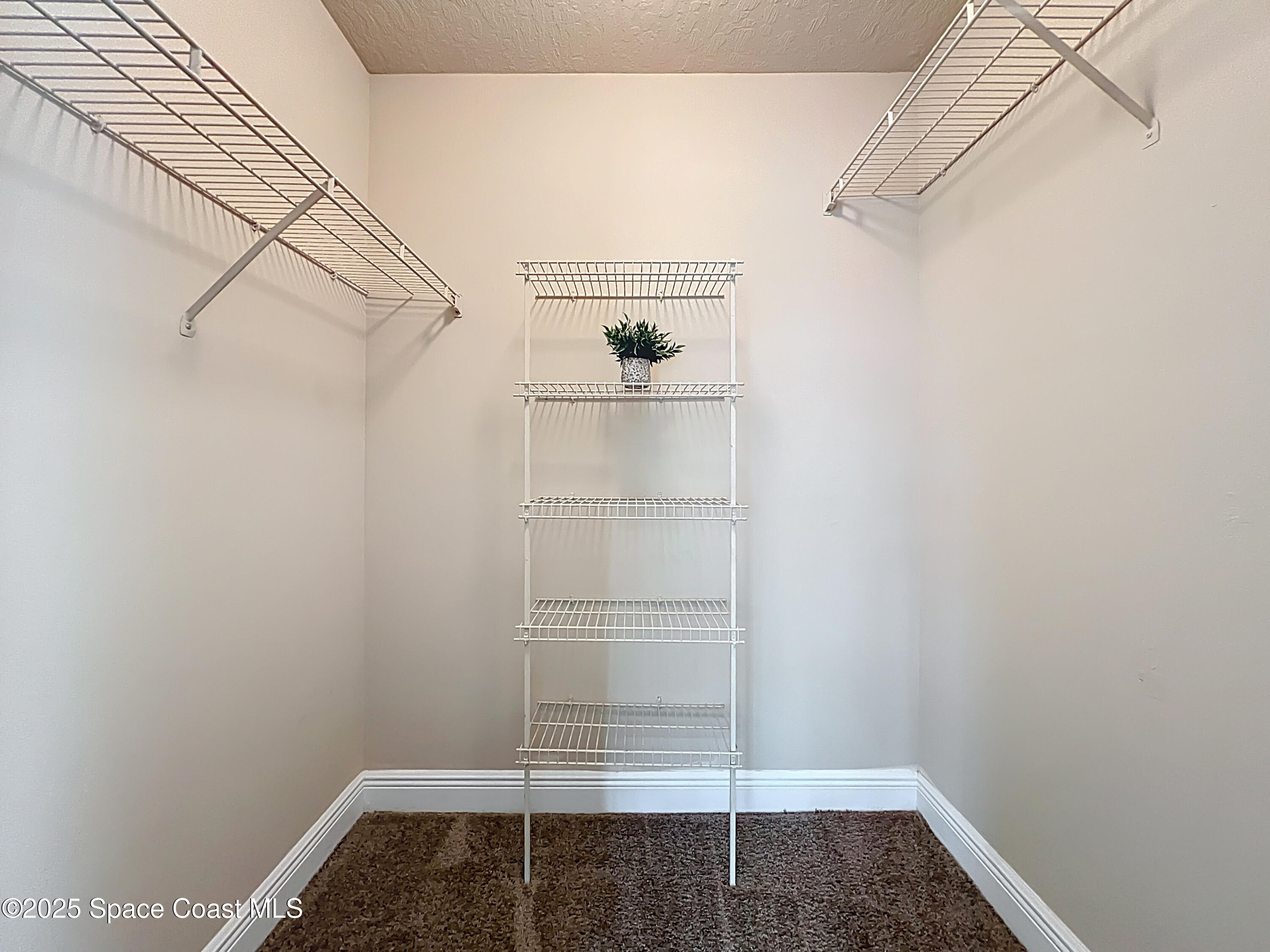 7667 North Wickham Road, Unit 410 Melbourne, FL 32940 - Photo 18 of 37 a view of walk in closet with empty racks