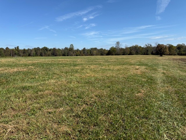 401 Virgil Smith Road Crossville, TN 38571 - Photo 14 of 24 Gallery Image 14