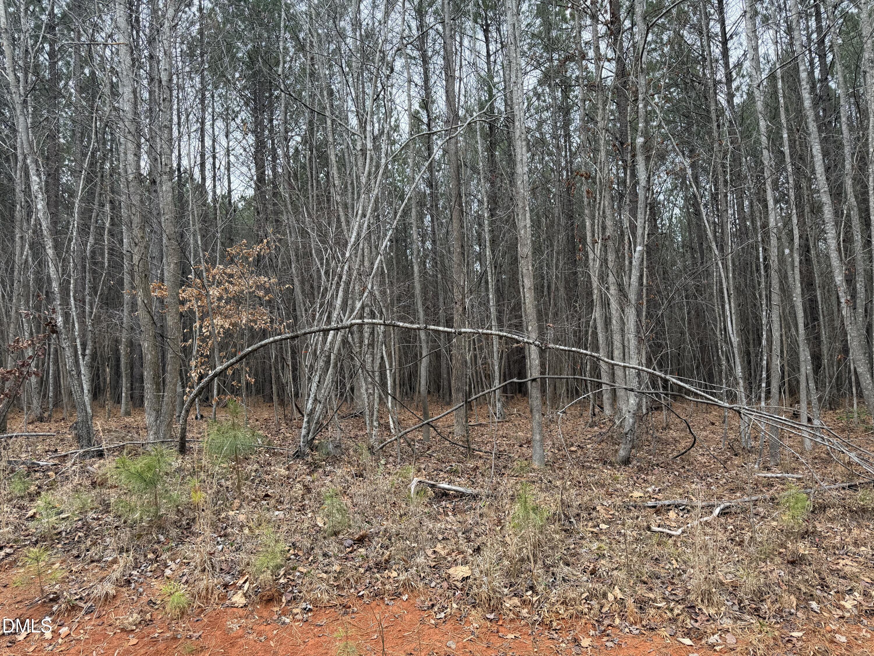 1652 Garrett Farm Road Stem, NC 27581 - Photo 3 of 6 IMG_2077