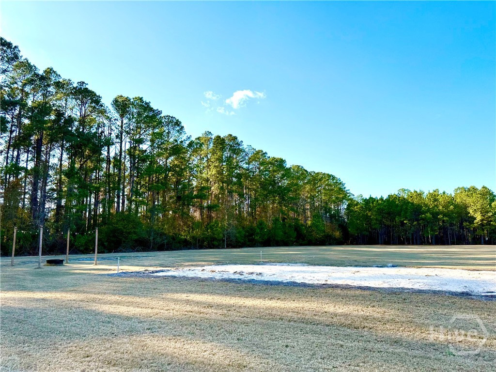 1419 Low Ground Road Rincon, GA 31326 - Photo 11 of 31 Gallery Image 11