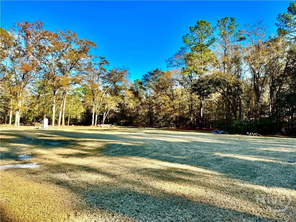 1419 Low Ground Road Rincon, GA 31326 - Photo 14 of 31 Gallery Image 14