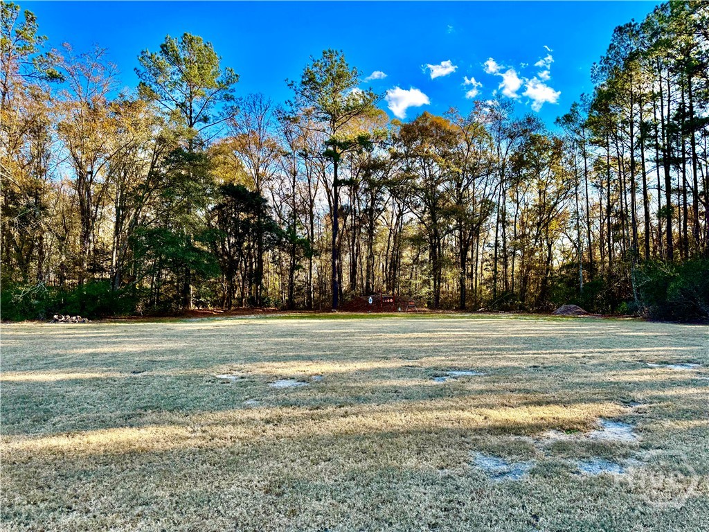 1419 Low Ground Road Rincon, GA 31326 - Photo 15 of 31 Gallery Image 15