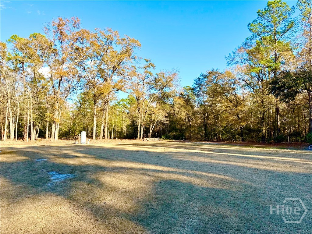 1419 Low Ground Road Rincon, GA 31326 - Photo 17 of 31 Gallery Image 17