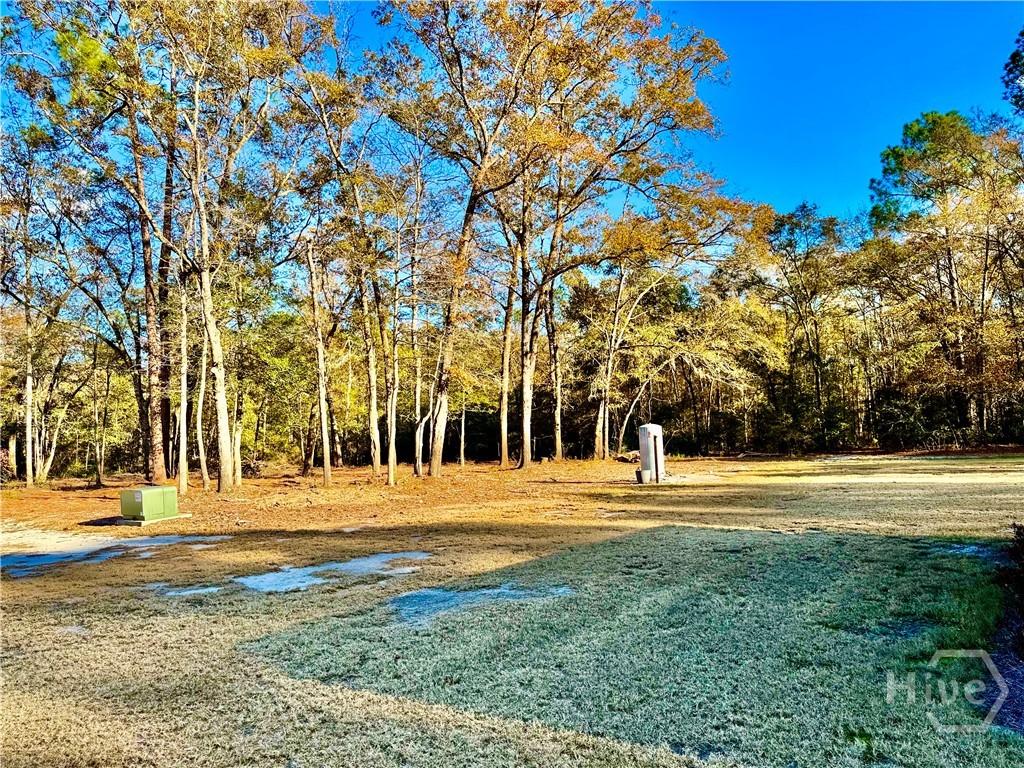 1419 Low Ground Road Rincon, GA 31326 - Photo 20 of 31 Gallery Image 20