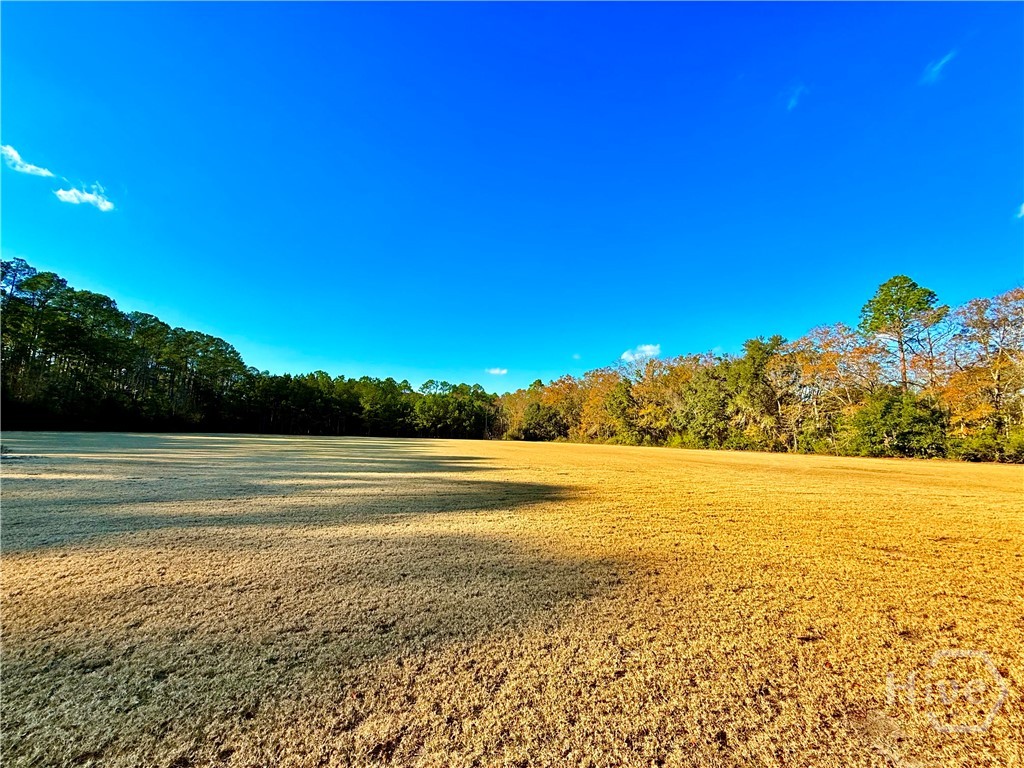 1419 Low Ground Road Rincon, GA 31326 - Photo 22 of 31 Gallery Image 22