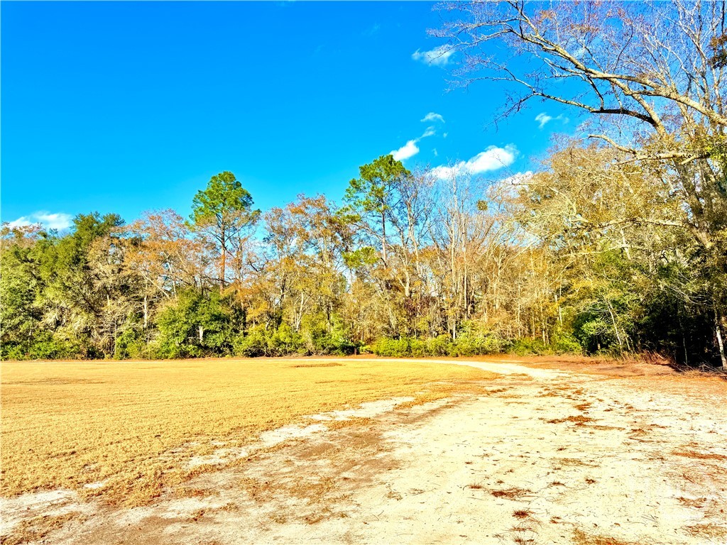 1419 Low Ground Road Rincon, GA 31326 - Photo 23 of 31 Gallery Image 23