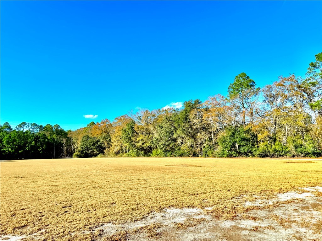 1419 Low Ground Road Rincon, GA 31326 - Photo 24 of 31 Gallery Image 24