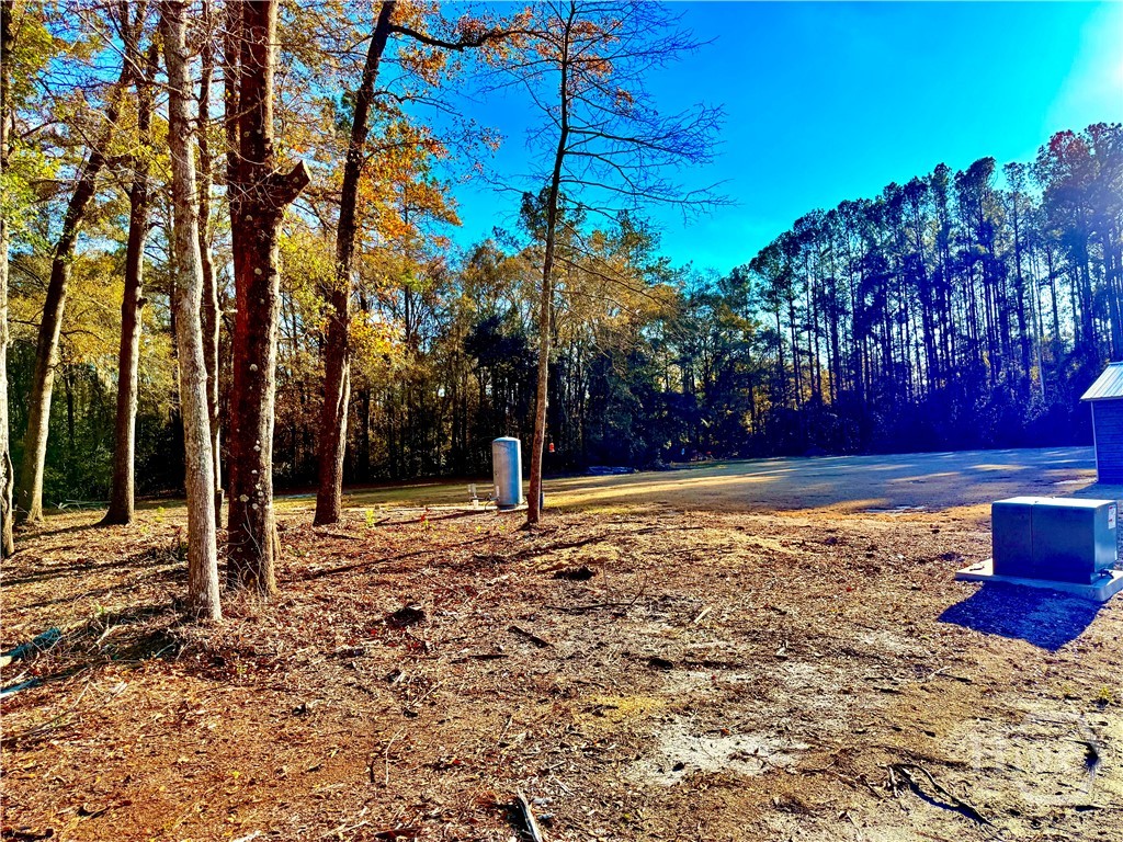 1419 Low Ground Road Rincon, GA 31326 - Photo 25 of 31 Gallery Image 25