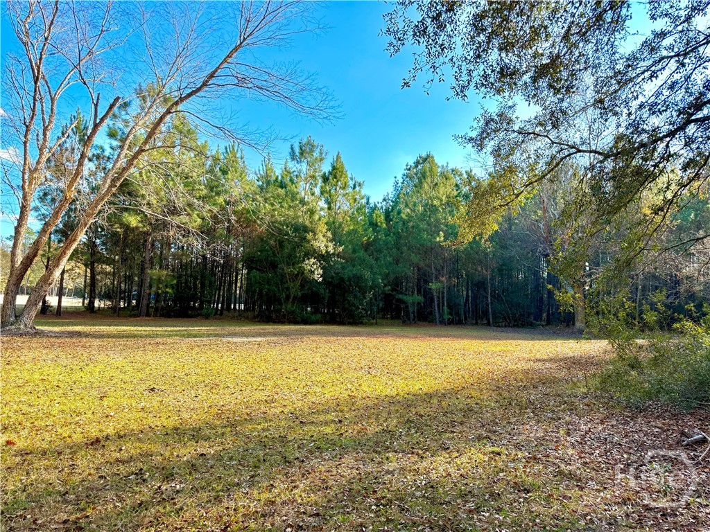1419 Low Ground Road Rincon, GA 31326 - Photo 26 of 31 Gallery Image 26