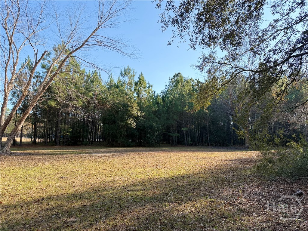 1419 Low Ground Road Rincon, GA 31326 - Photo 27 of 31 Gallery Image 27