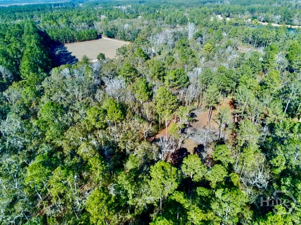 1419 Low Ground Road Rincon, GA 31326 - Photo 28 of 31 Gallery Image 28