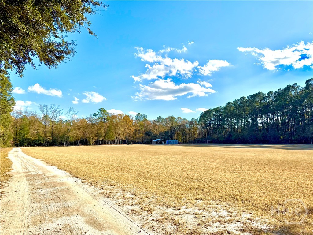1419 Low Ground Road Rincon, GA 31326 - Photo 3 of 31 Gallery Image 3