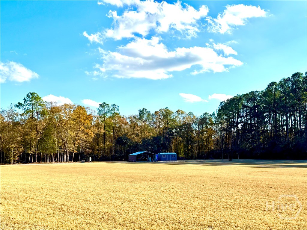 1419 Low Ground Road Rincon, GA 31326 - Photo 4 of 31 Gallery Image 4