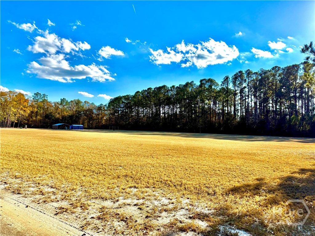 1419 Low Ground Road Rincon, GA 31326 - Photo 5 of 31 Gallery Image 5