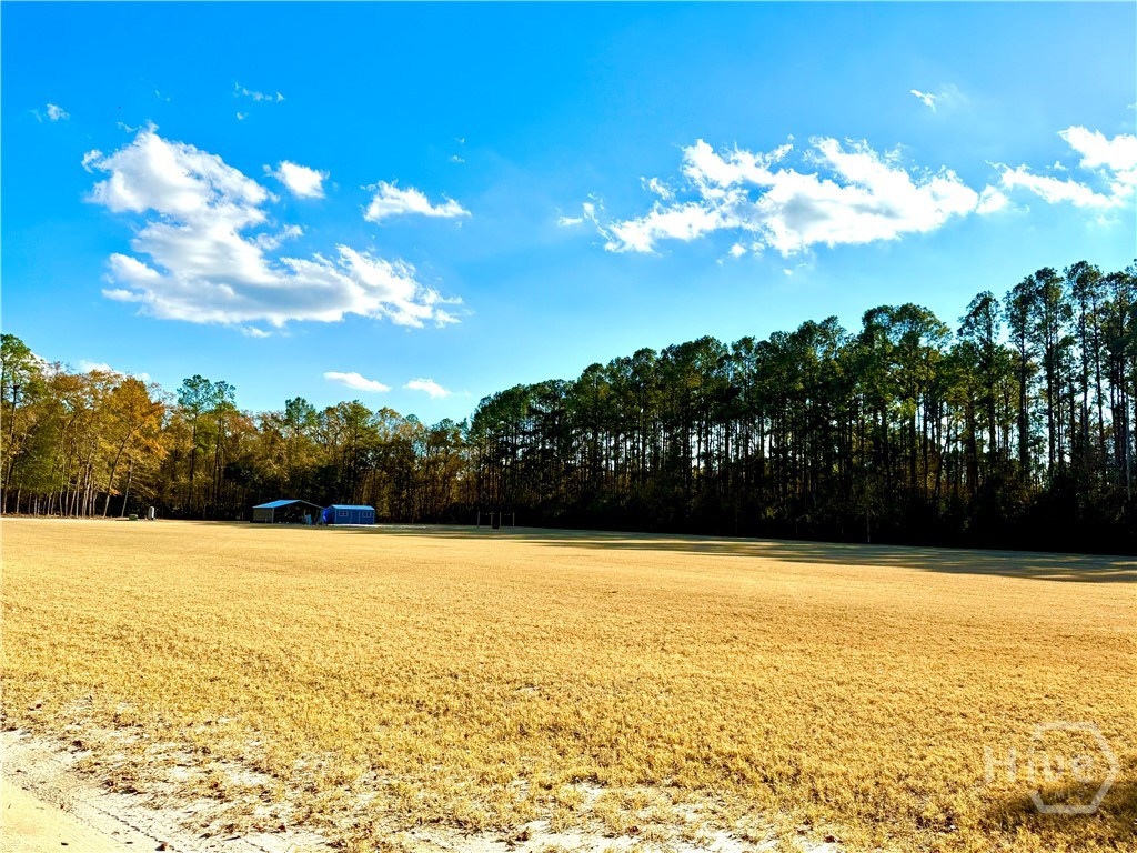 1419 Low Ground Road Rincon, GA 31326 - Photo 6 of 31 Gallery Image 6