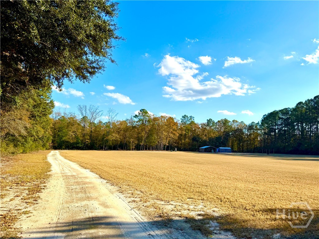 1419 Low Ground Road Rincon, GA 31326 - Photo 7 of 31 Gallery Image 7