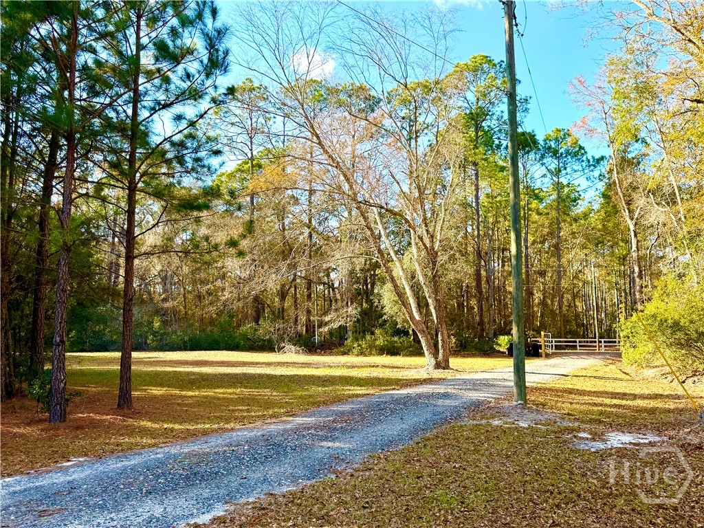 1419 Low Ground Road Rincon, GA 31326 - Photo 8 of 31 Gallery Image 8