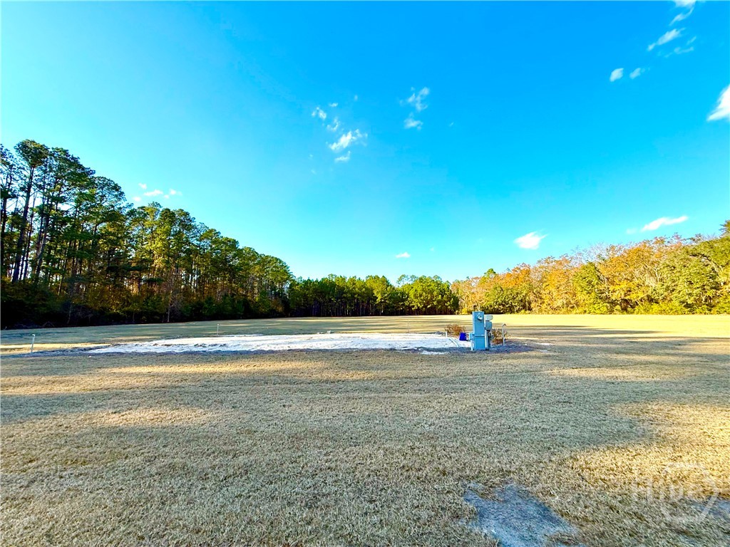 1419 Low Ground Road Rincon, GA 31326 - Photo 9 of 31 Gallery Image 9