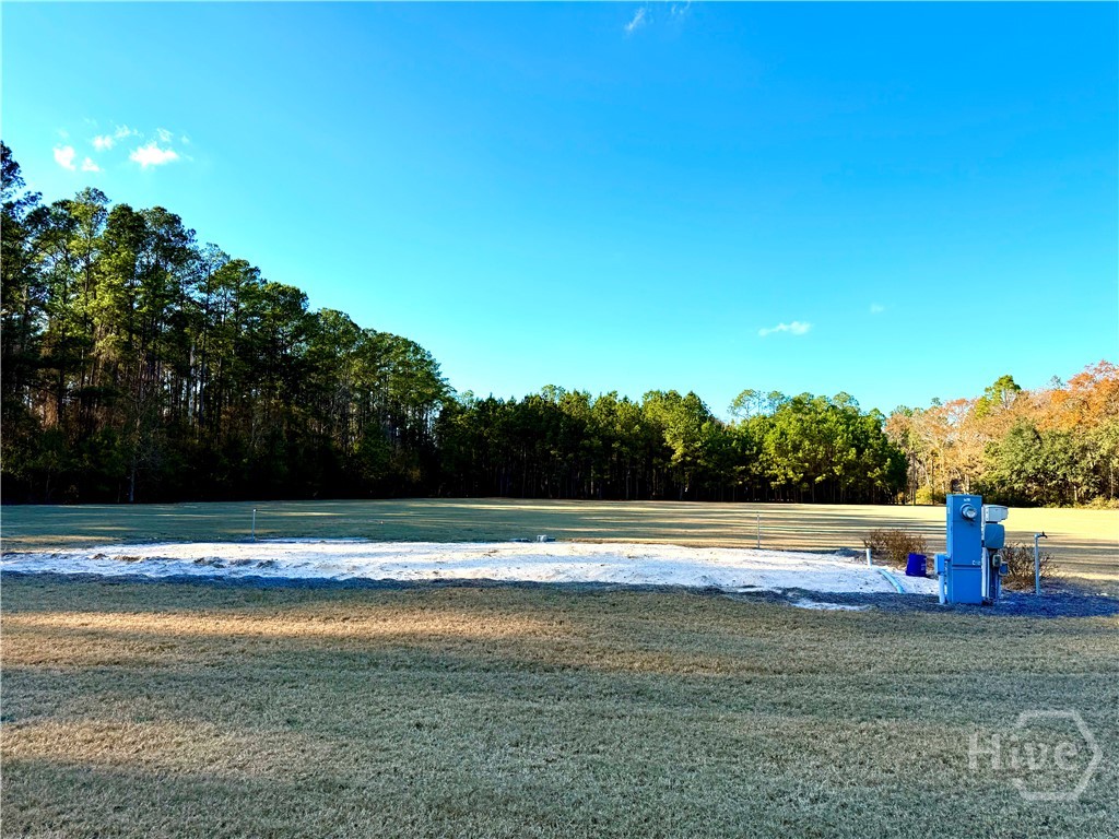 1419 Low Ground Road Rincon, GA 31326 - Photo 10 of 31 Gallery Image 10