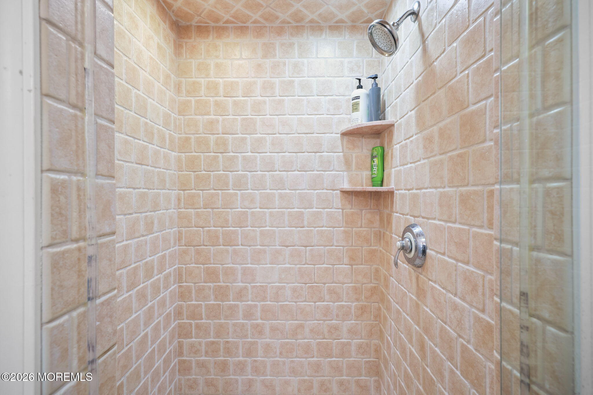 89 Mitchell Place Little Silver, NJ 07739 - Photo 60 of 76 73-web-or-mls-LPM_3430