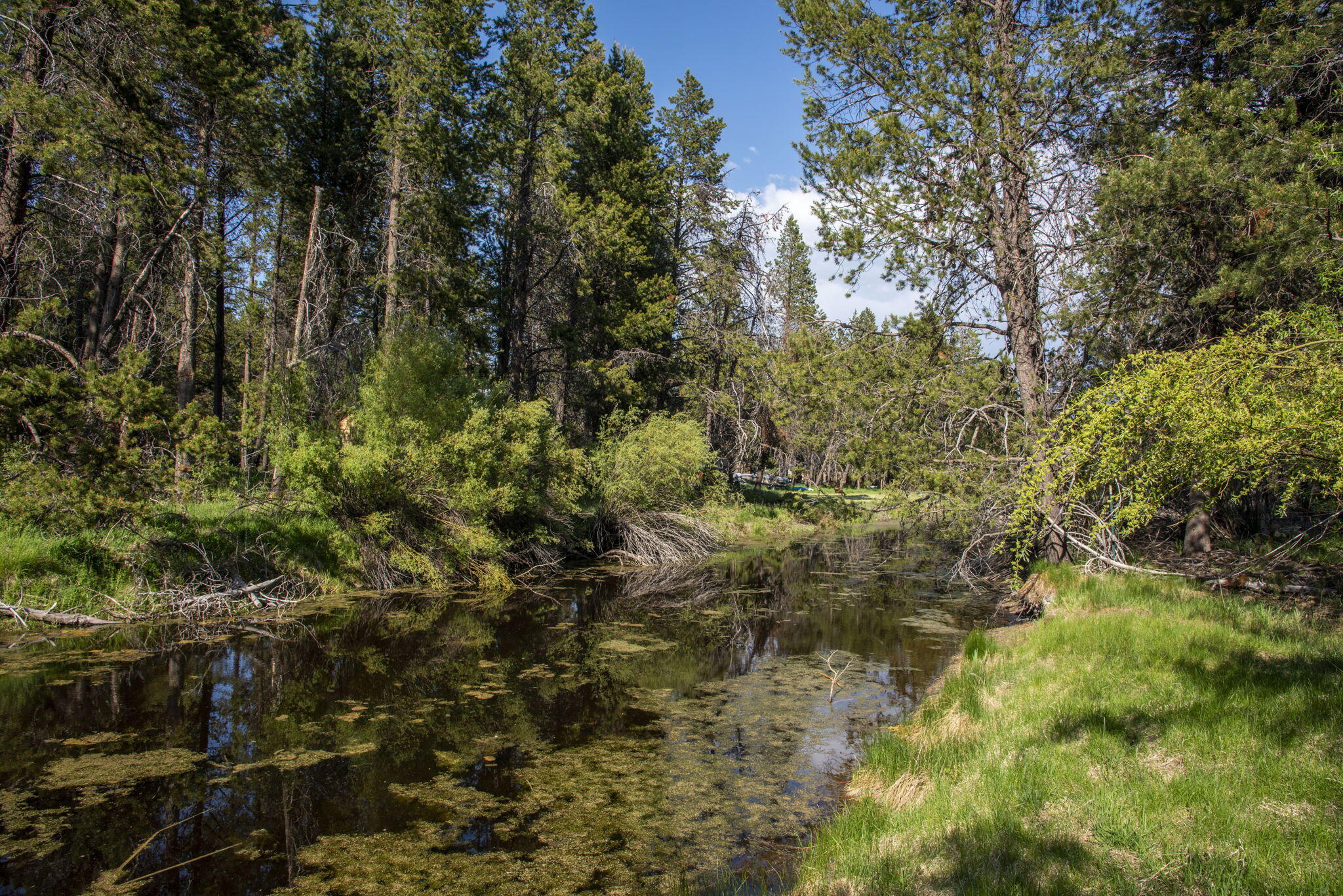 17092 Island Loop Way Bend, OR 97707 - Photo 8 of 17 Island Way