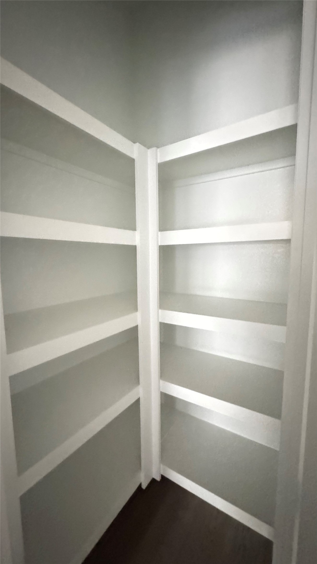 3005 Manor Heights Lane Houston, TX 77063 - Photo 9 of 35 a view of walk in closet with empty racks